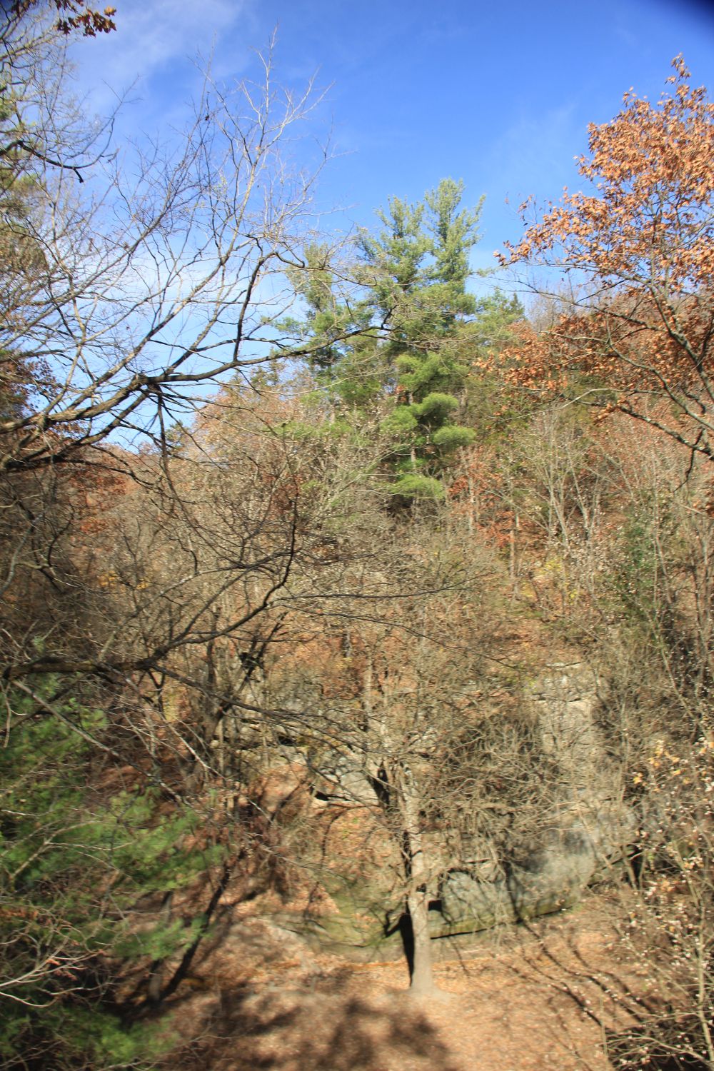 Matthiessen 